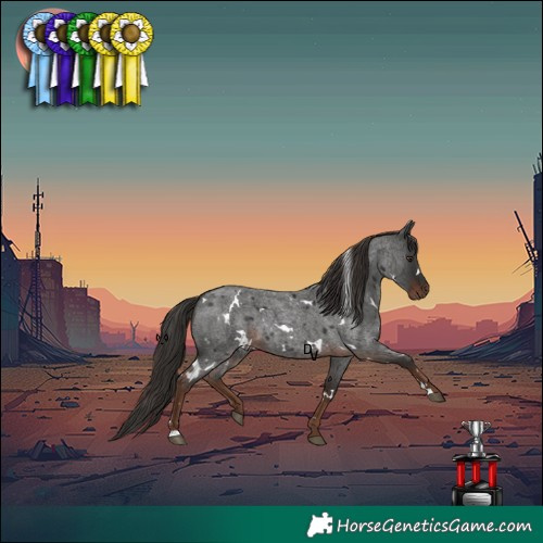 Horse Color:White Spotted Liver Red Roan 