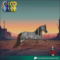 Horse Color:White Spotted Liver Red Roan 