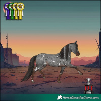 Horse Color:White Spotted Liver Red Roan