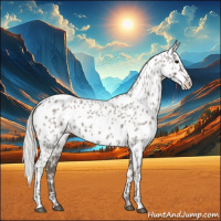 Horse Color:White Spotted Silver Blue Roan Appaloosa 