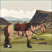 Horse Color:Bay Dun