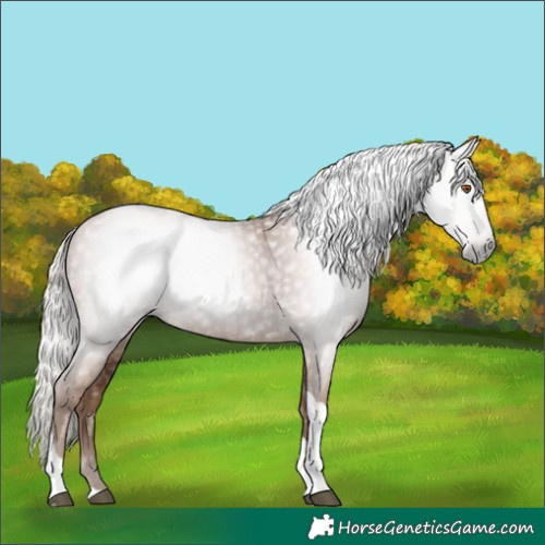 Horse Color:Gray Silver Black Pearl Tobiano