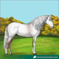 Horse Color:Gray Silver Black Pearl Tobiano