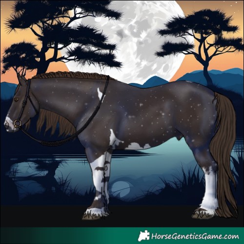 Horse Color:White Spotted Liver Chestnut Tobiano 
