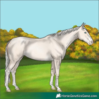 Horse Color:Silver Amber Cream Champagne Pearl 