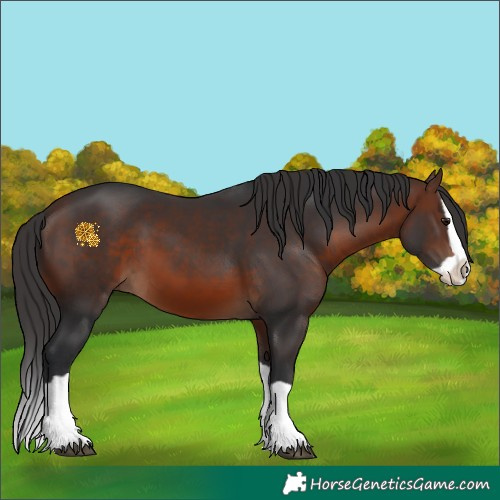 Horse Color:Brown Splash 