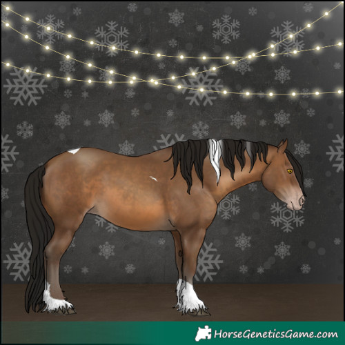 Horse Color:Gray Amber Champagne Tobiano 