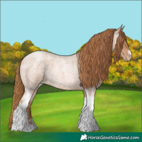 Horse Color:Red Roan Pearl Tobiano Frame 