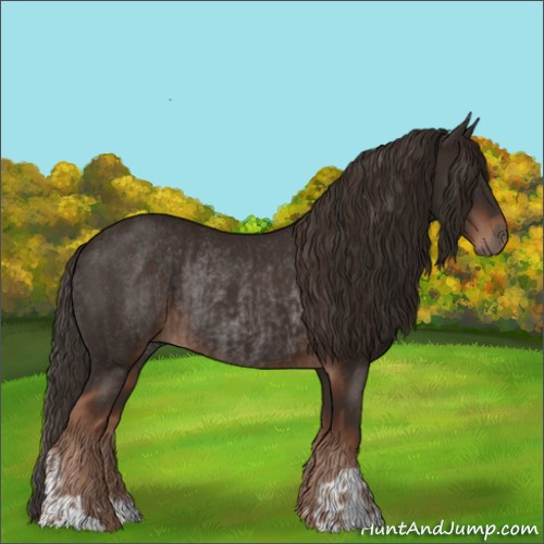 Horse Color:Liver Chestnut and Liver Chestnut Rabicano