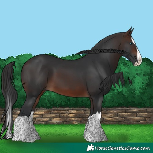 Horse Color:Brown Splash 