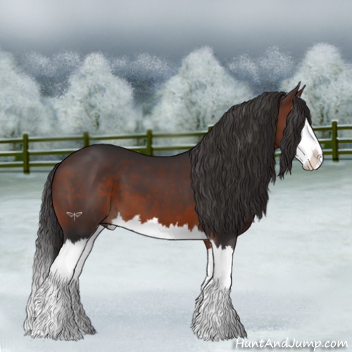 Horse Color:Brown Splash