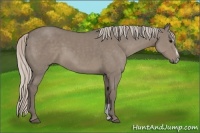 Horse Color:Silver Grullo Sabino Frame 
