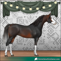 Horse Color:Bay Splash 
