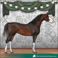 Horse Color:Bay Splash 