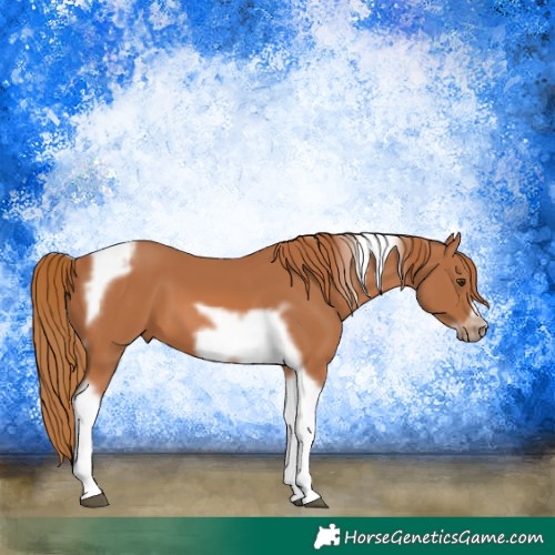 Horse Color:Chestnut Tobiano Frame 