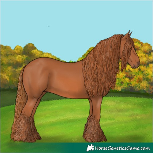 Horse Color:Chestnut 