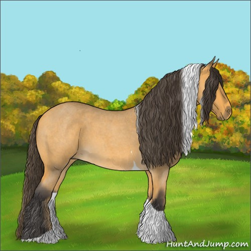 Horse Color:Buckskin Roan Tobiano