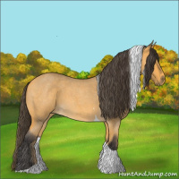 Horse Color:Buckskin Roan Tobiano 