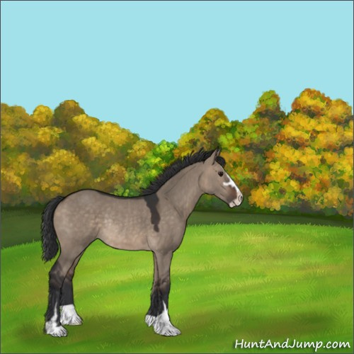 Horse Color:Brown Dun Sabino Rabicano 