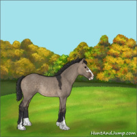 Horse Color:Brown Dun Sabino Rabicano 