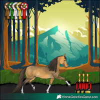 Horse Color:Buckskin Tobiano 