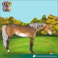 Horse Color:Silver Buckskin Frame