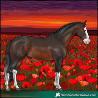 Horse Color:Brown Splash