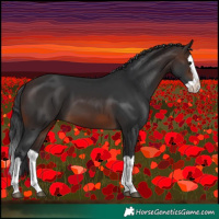 Horse Color:Brown Splash 