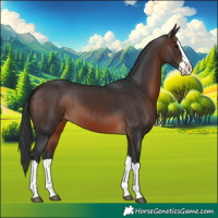 Horse Color:Brown Splash 