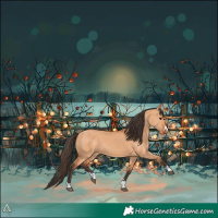 Horse Color:Bay Dun