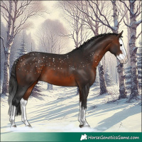Horse Color:Brown Splash 