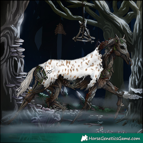 Horse Color:Chocolate Palomino Appaloosa and Chocolate Palomino Appaloosa