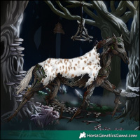 Horse Color:Chocolate Palomino Appaloosa  and Chocolate Palomino Appaloosa 