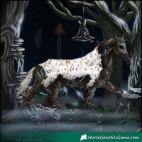 Horse Color:Chocolate Palomino Appaloosa  and Chocolate Palomino Appaloosa 