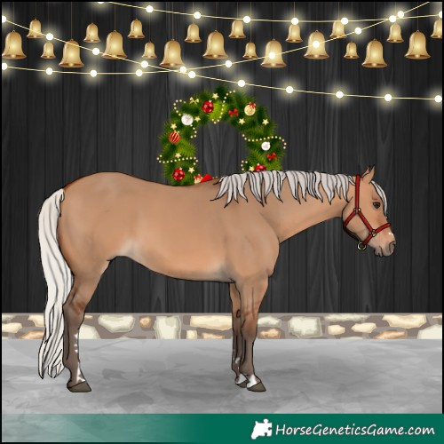 Horse Color:Silver Bay Dun