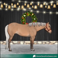 Horse Color:Silver Bay Dun