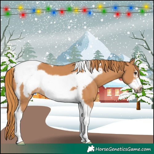 Horse Color:Chestnut Tobiano Frame 