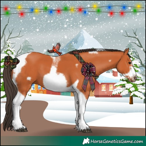 Horse Color:Bay Tobiano Frame