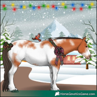 Horse Color:Bay Tobiano Frame 