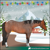 Horse Color:Bay Roan Tobiano 