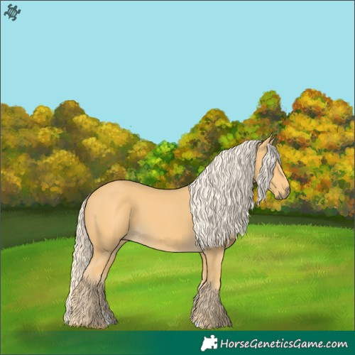 Horse Color:Palomino