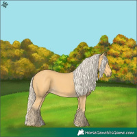 Horse Color:Palomino