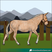Horse Color:Red Roan Tobiano 