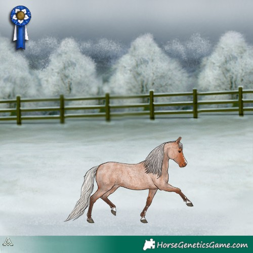 Horse Color:Silver Bay Roan 