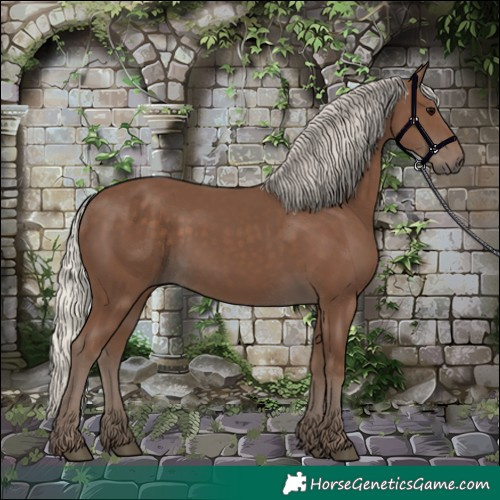 Horse Color:Silver Black 