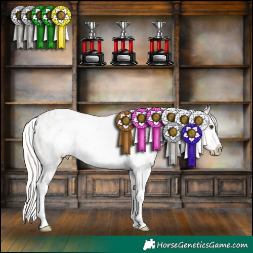 Horse Color:White Spotted Silver Brown Dun Sabino Frame Appaloosa Brindle 