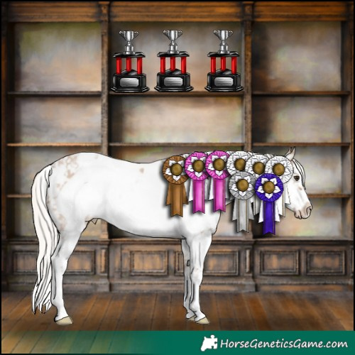 Horse Color:White Spotted Silver Brown Dun Sabino Frame Appaloosa Brindle 