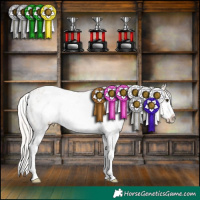 Horse Color:White Spotted Silver Brown Dun Sabino Frame Appaloosa Brindle 