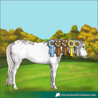 Horse Color:White Spotted Silver Grullo Sabino Frame 