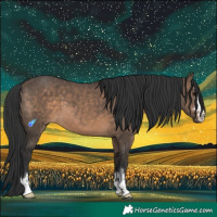 Horse Color:Brown Dun 
